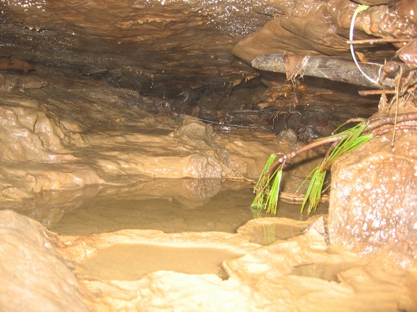 Wasteland Waterway Cave Ontario