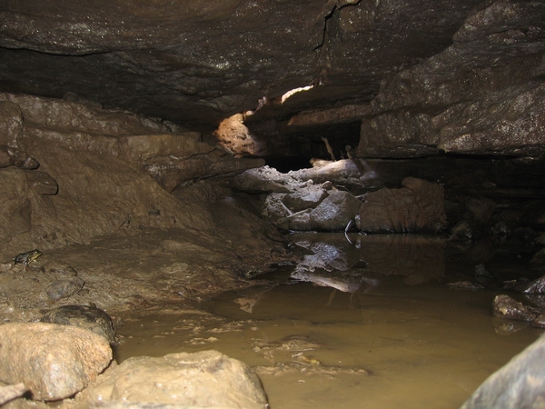 Wasteland Waterway Cave Ontario